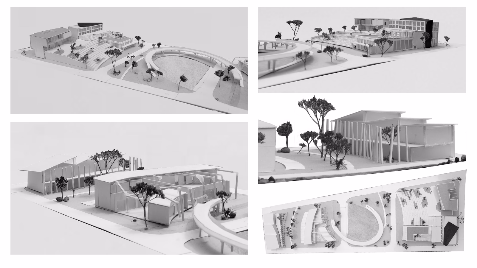 Jogasama - zdjęcie 2