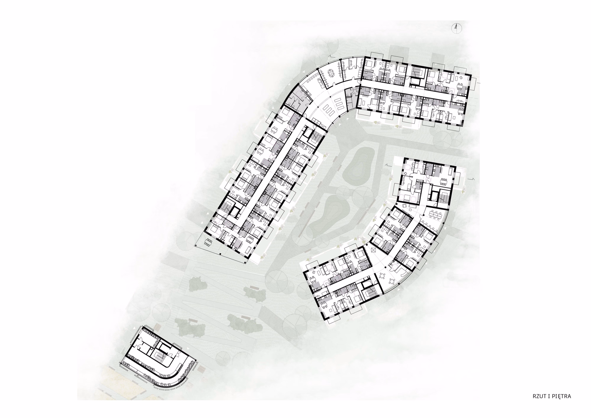 Helianthus - karuzela 6