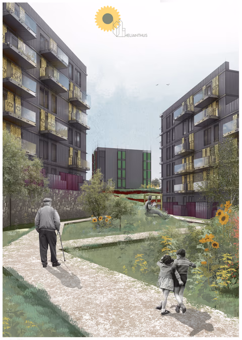 Helianthus - zdjęcie 1